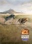 Werbeanzeige mit einem Zebra, das einen Löwen jagt, begleitet von dem Snickers-Slogan «You’re not you when you’re hungry». Ein geniales Beispiel für gute Produktwerbung.
