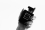 Schwarz-Weiss-Fotografie einer Hand, die eine schwarze Chanel-Parfümflasche «Coco Noir» in die Höhe hält — ein prägnantes Beispiel dafür, was macht ein gutes Logo aus: maximale Reduktion, sofortige Wiedererkennung und ein Erscheinungsbild, das auch ohne Farbe funktioniert.